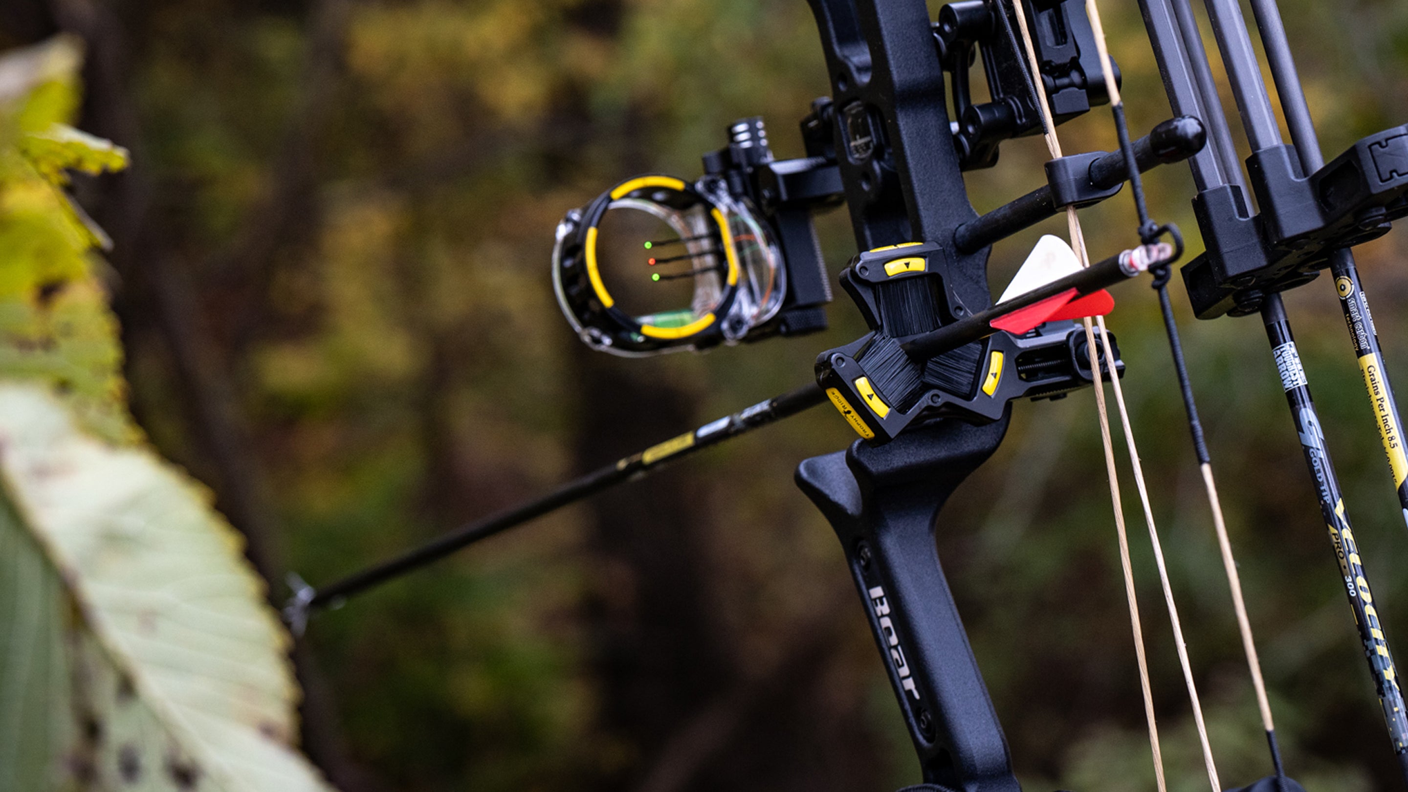 Whisker Biscuit V Max Review by Lancaster Archery Bear Archery
