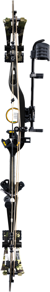 Whitetail INT RTH Compound Bow