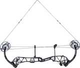 Paramount Compound Bow