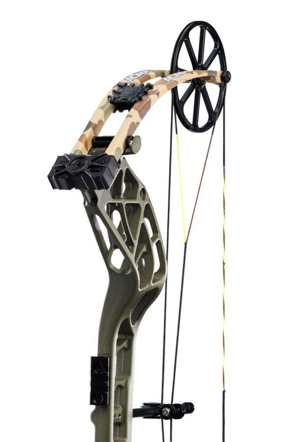 Close up of Bear Archery Adapt 2 single cam system and Throwback Green limbs.