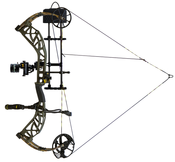 The Bear Adapt 2 Plus RTH compound bow at full draw.