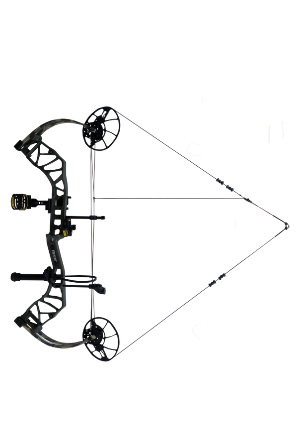 The Bear Archery Legit MAXX RTH Special Edition compound bow at full draw.