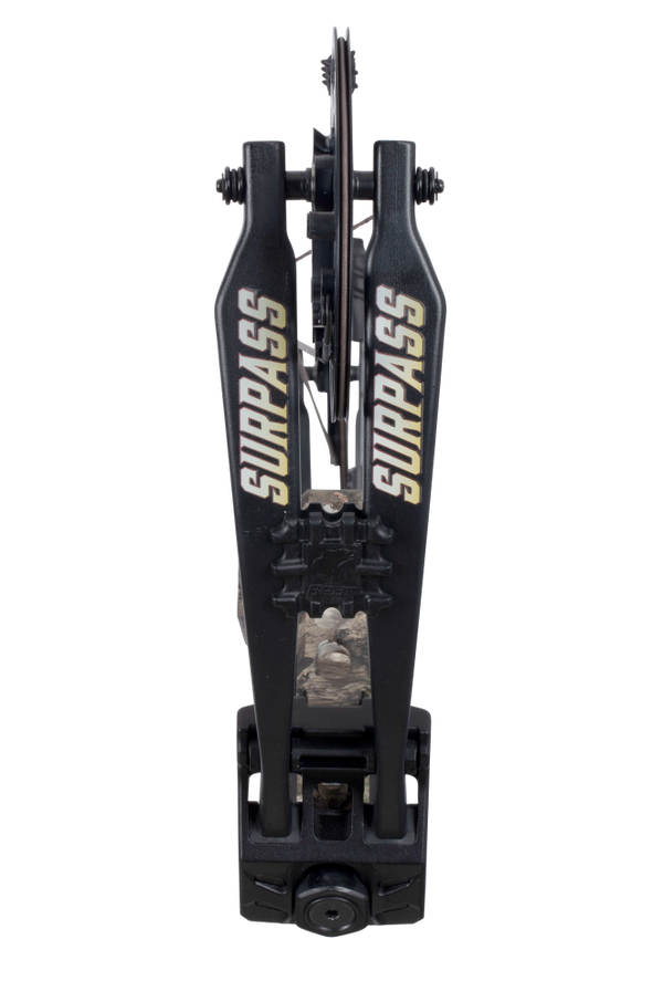 Bear Surpass compound bow