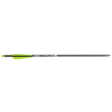 Bear Archery TrueX 20 Inch Crossbow Bolts