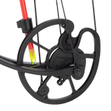Cajun Bowfishing Sucker Punch Pro Ready to Fish Bowfishing Bow Kit - Cajun Bowfishing Bow