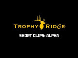 React® Alpha Bow Sight