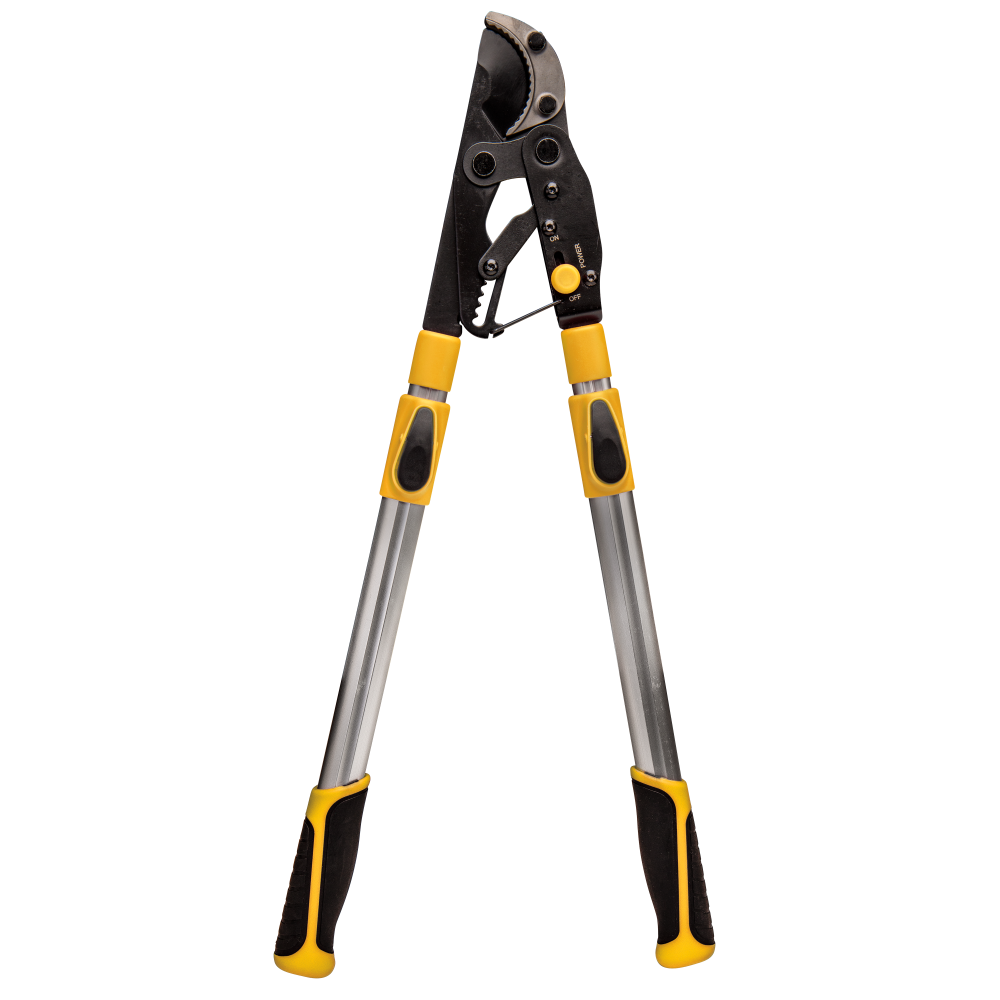 Brush loppers online