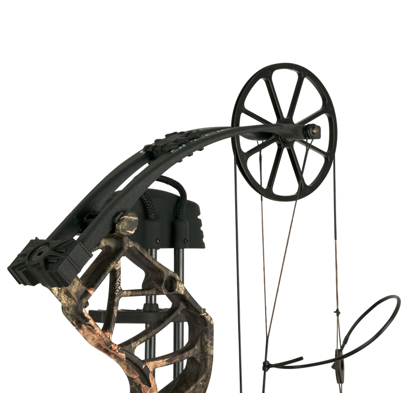 Bear Species EV RTH Compound Bow - Adult_5