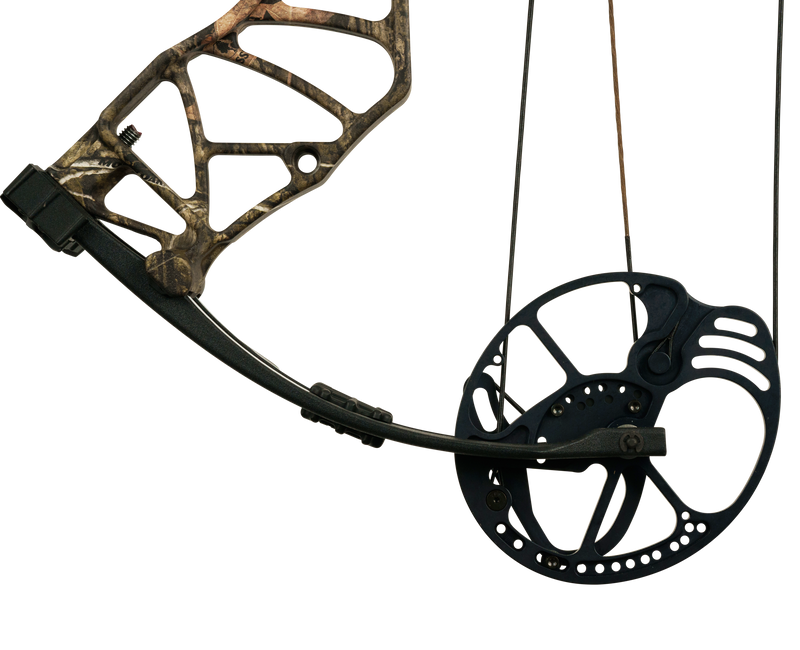 Bear Species EV RTH Compound Bow - Adult_7