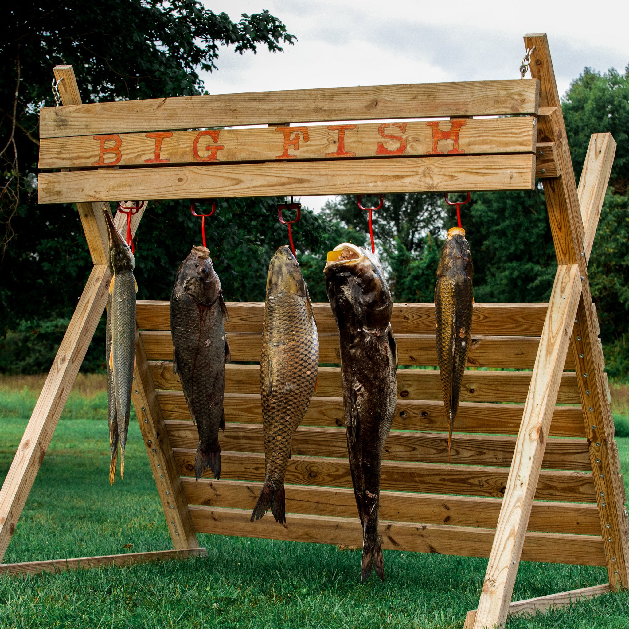 2023 Cajun 8 Bowfishing Tournament Results Bear Archery