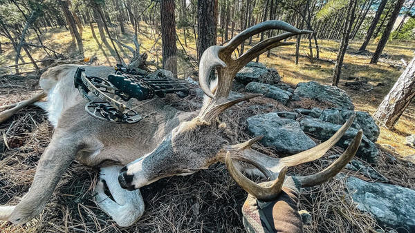 VIDEO: The Hunting Public South Dakota MONSTER BUCK with the 2022 REFINE