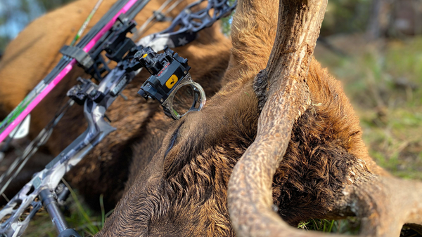Trophy Ridge React Pro Sight