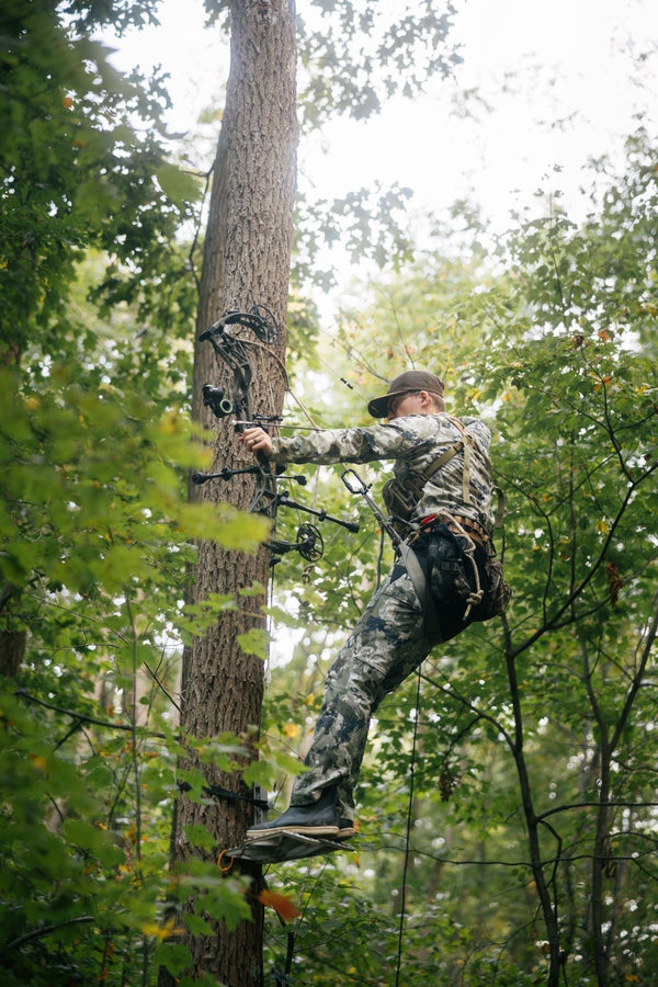ABC's of Tree Stand Safety