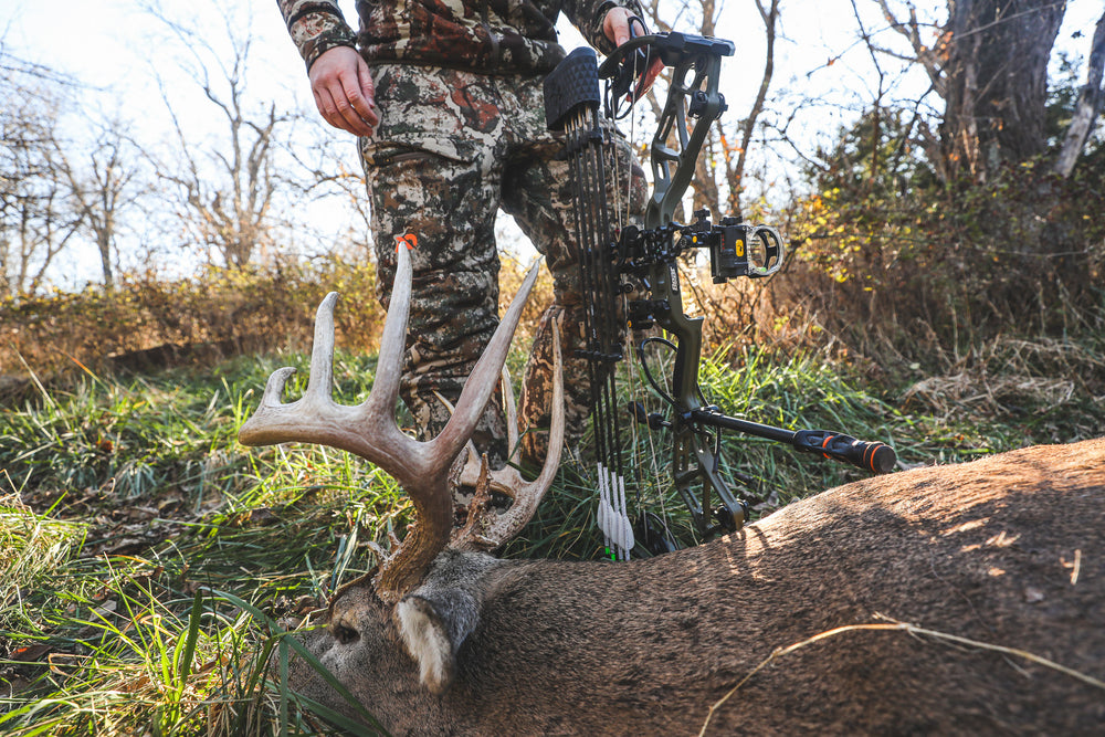 Big Whitetail Buck harvested with Bear Archery Compound Bow for Hunting and Trophy Ridge Bow Accessories