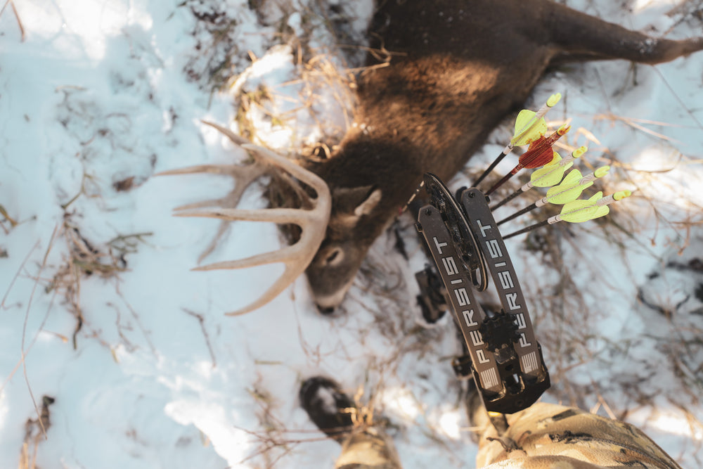 bear archery persist compound bow with whitetail buck