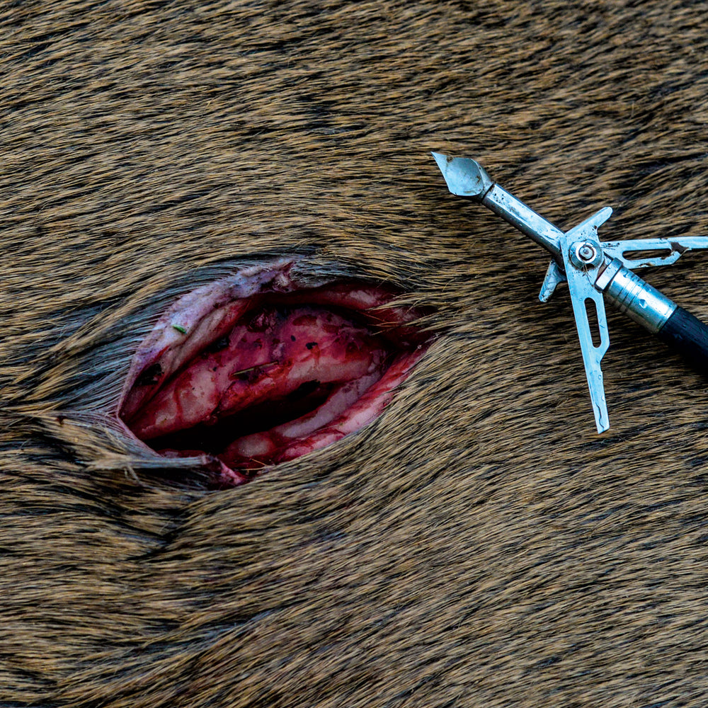 SK2 Expandable Broadhead -  field-point accurate 100 grain SK2 broadhead uses patented FliteLoc® Technology to guarantee the signature Offset Blade Design will deploy on impact – leaving your game with a 2" offset entry wound and a 3.625" cutting surface. 
