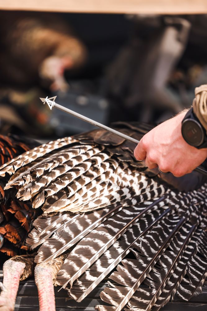SIK Broadhead F3 Broadhead attached to arrow being held over turkey feathers.