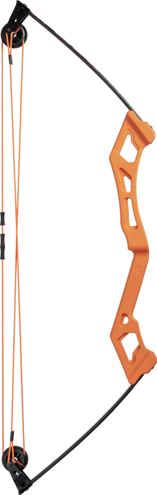 Apprentice Youth Bow