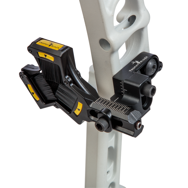 Whisker Biscuit V Max