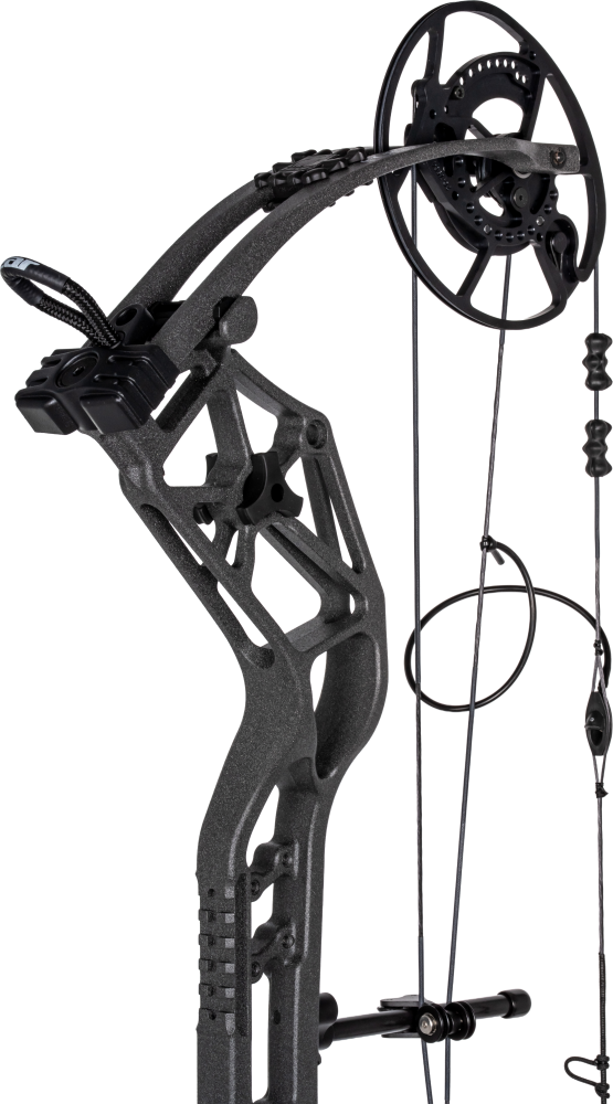 Deer Meat For Dinner Compound Bow