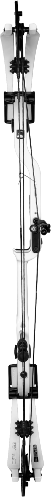 Paramount Compound Bow