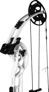 Paramount Compound Bow