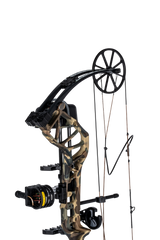 Species XT RTH