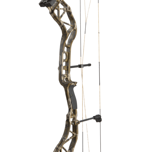 Bear compound online bow case