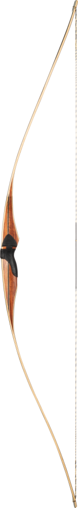 Bear Archery Au Sable - 50 lb Draw Weight - Left Hand_1