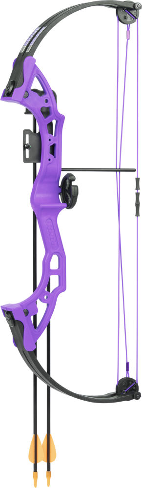 Bear Archery Brave Youth compound bow package in color purple Includes Whisker Biscuit, Arrows, Armguard, and Arrow Quiver. 