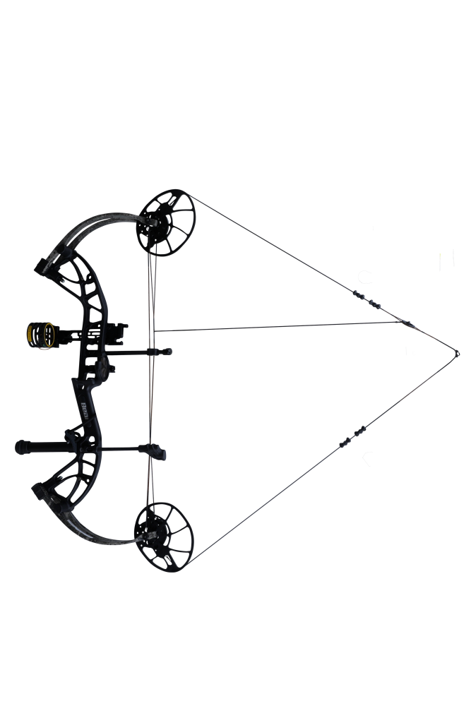 Bear Archery Whitetail INT compound bow with an adjustable draw length from 14 to 30 inches aimed left.
