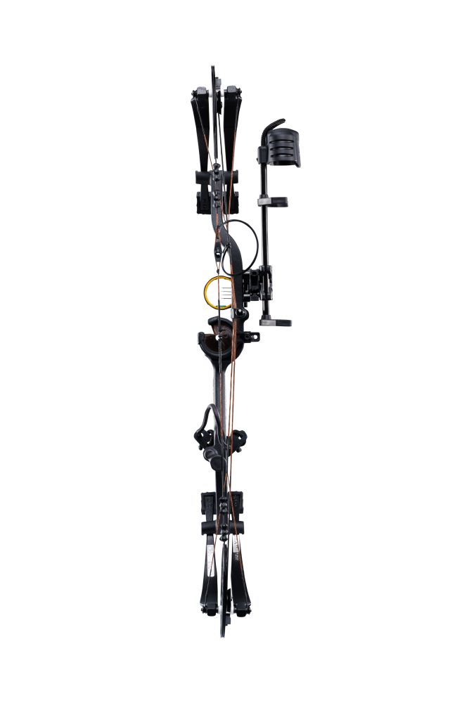 Back view of Bear Archery Cruzer G4 compound bow showcasing its compact 29" axel length.