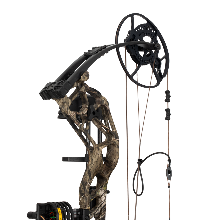 Close up of the Bear Archery Paradigm hunting bow limbs and DHC cam system.