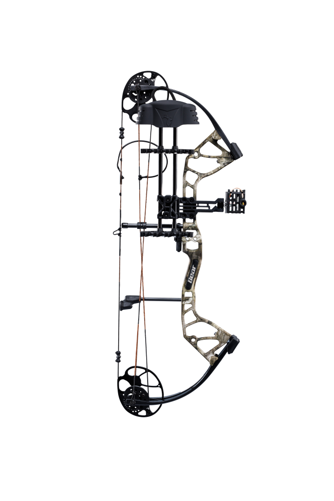 Arc Bear Royale RTH Main Droite 12-27 Couleur Shadow Arc à Arc Bear Royale RTH Main Droite 12-27 Couleur Shadow Arc à
