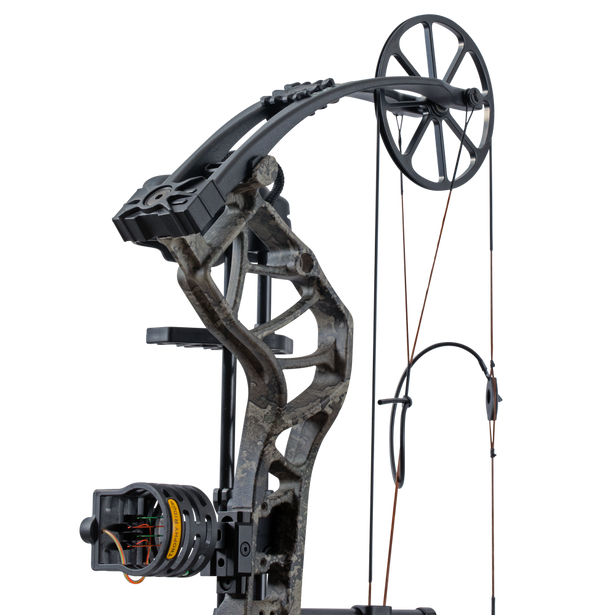 Close up of the single cam system, compound bow limbs, and picatinny sight mounting location on the Bear Species XT RTH.