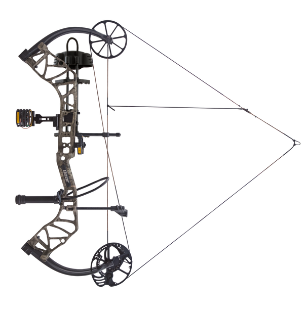 Bear Species XT RTH_11