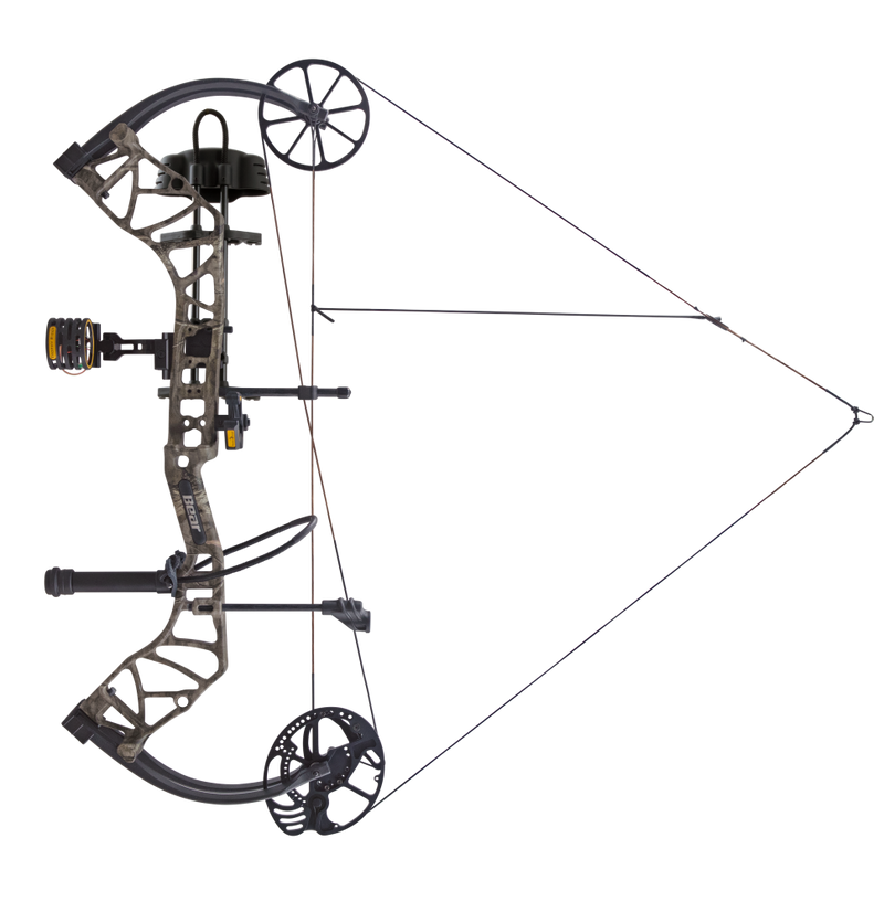 Bear Species XT RTH_11
