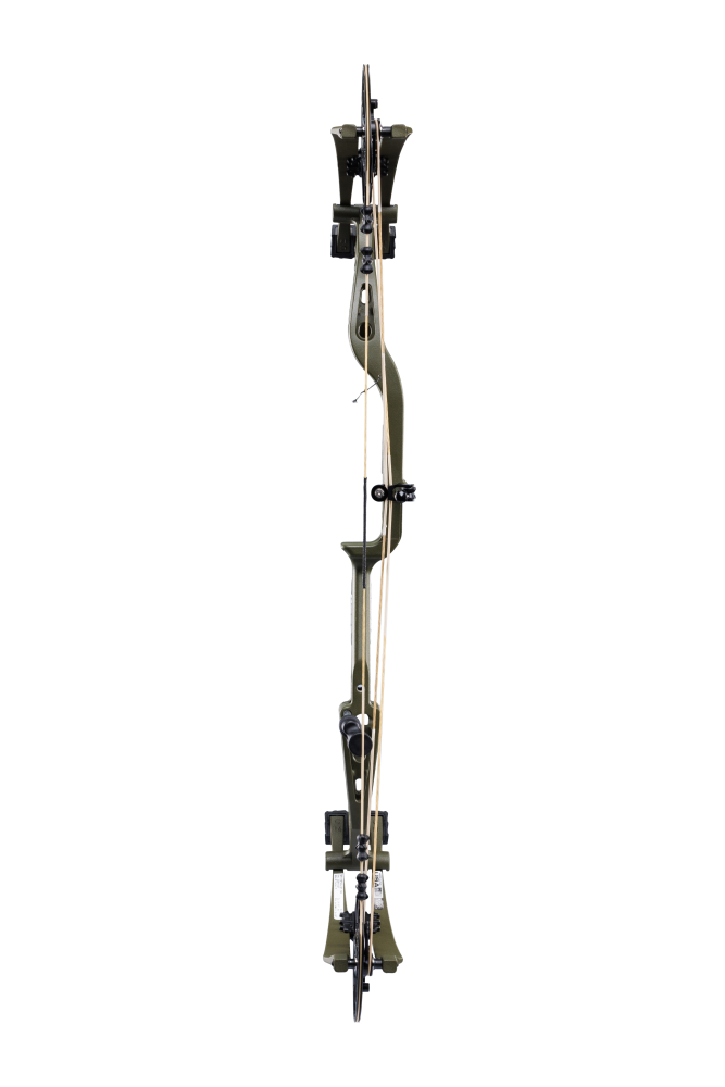 Back view of Bear Archery Whitetail INT compound bow showcasing its 31" axel length.