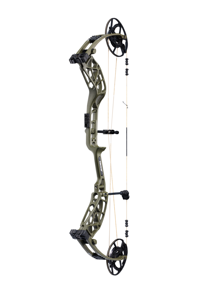 Bear Archery Whitetail INT logo on compound bow limbs in Olive color.