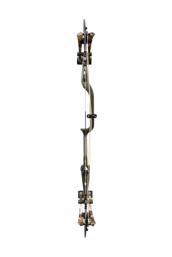 Back view of Bear Archery Whitetail INT compound bow showcasing its 31" axel length.