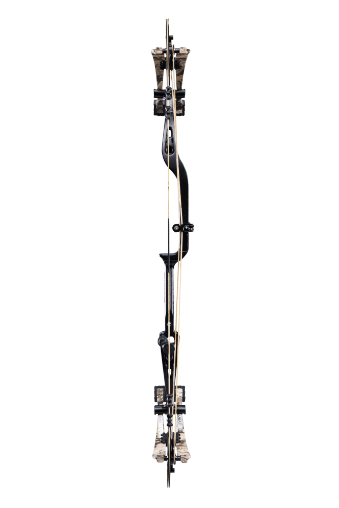 Back view of Bear Archery Whitetail INT compound bow showcasing its 31" axel length.