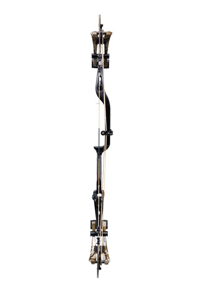 Back view of Bear Archery Whitetail INT compound bow showcasing its 31" axel length. 