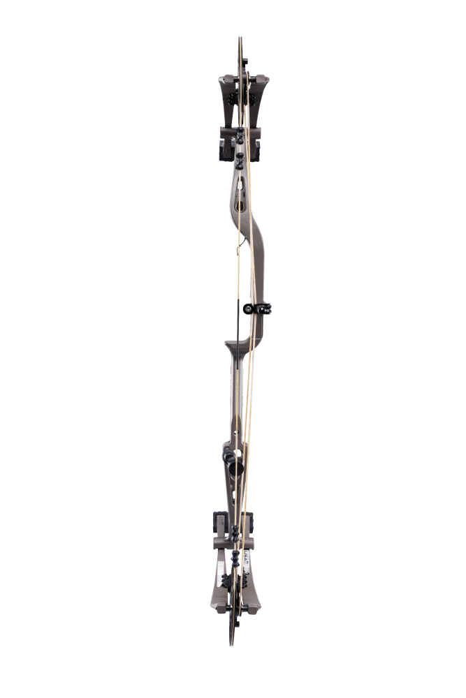Bear Archery Whitetail INT compound bow as seen from the back if you were holding the bow while bowhunting. 
