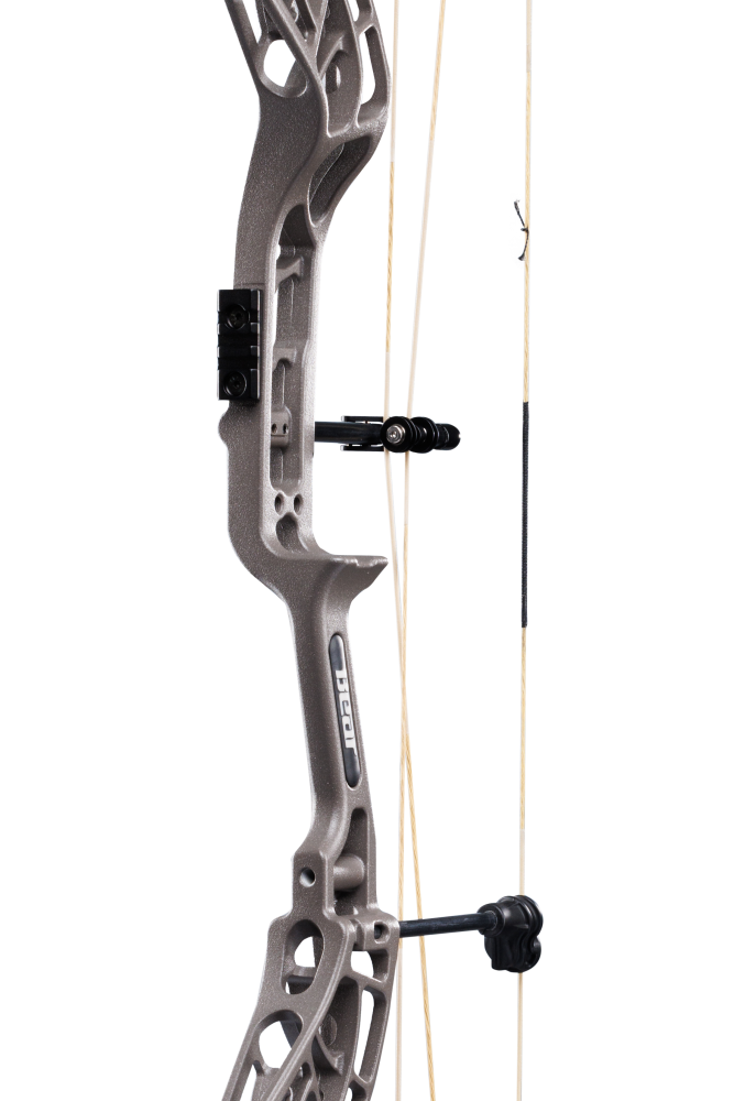 Close-up of the Bear Archery Whitetail INT Compound Bow in color stone, showcasing its IMS arrow rest and Picatinny sight mounting locations.