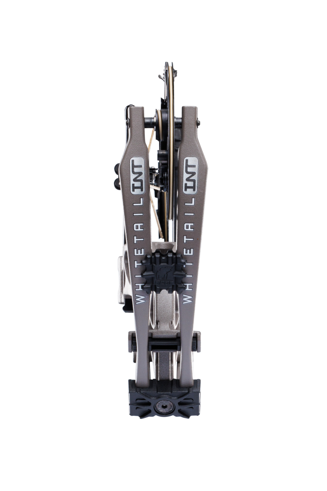 Bottom view of Bear Archery Whitetail INT Compound Bow for bowhunting displayed against a transparent background, emphasizing its Whitetail INT logo. 