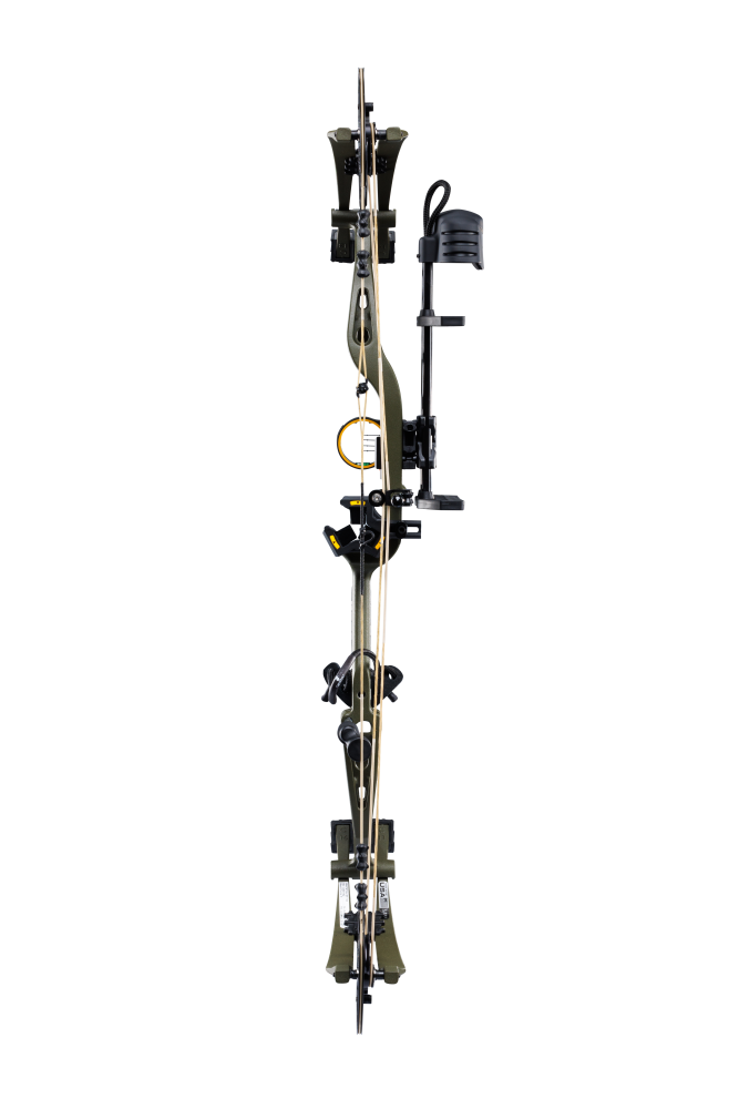 Back view of Bear Archery Whitetail INT RTH compound bow showcasing its 31" axel length.