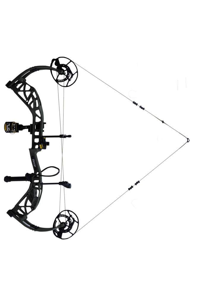 Bear Archery Whitetail INT RTH compound bow with an adjustable draw length from 26 to 30 inches aimed left.