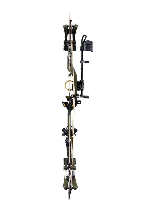 Back view of Bear Archery Whitetail INT RTH compound hunting bow showcasing its 31" axel length.