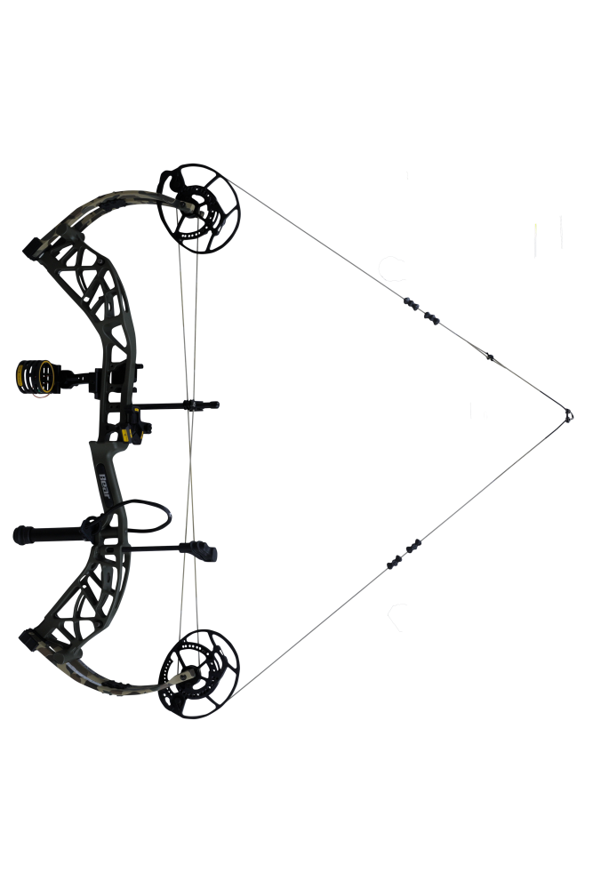 Bear Archery Whitetail INT RTH compound bow with an adjustable draw length from 26 to 30 inches aimed left.