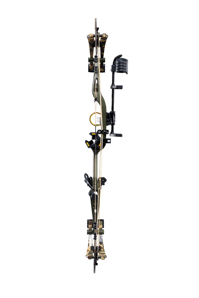 Back view of Bear Archery Whitetail INT RTH compound bow showcasing its 31" axel length.